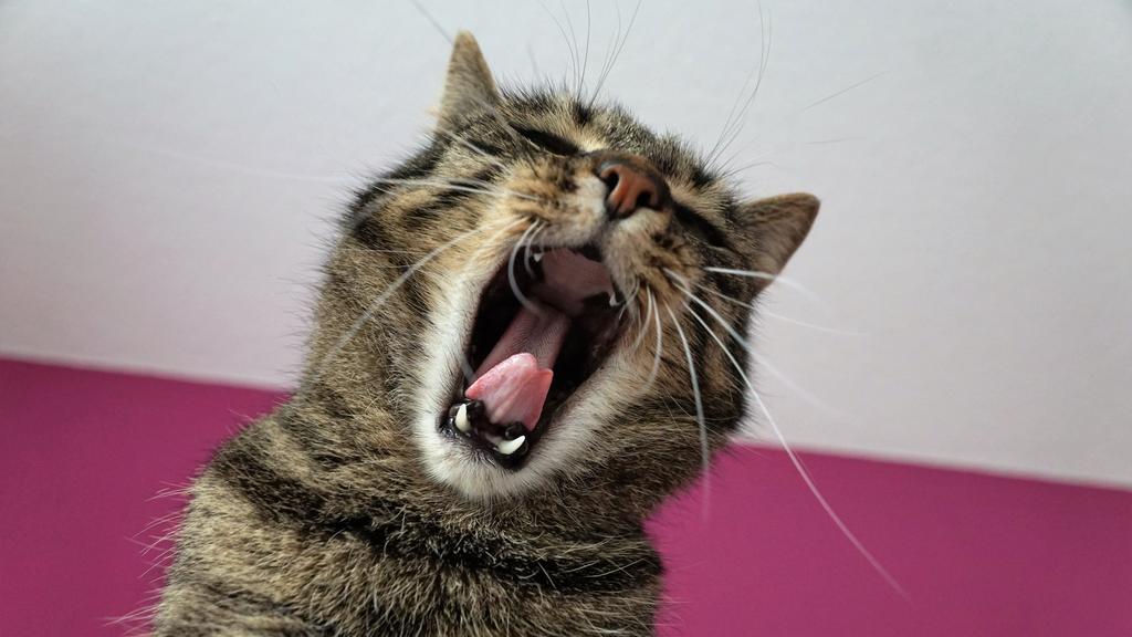 Juvenile/Adolescence