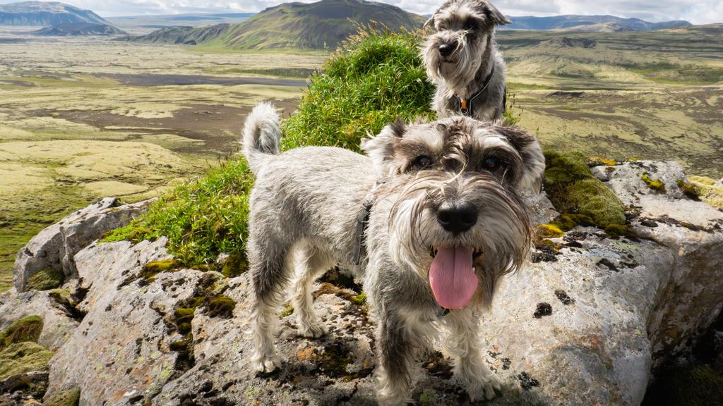 Daily essentials products