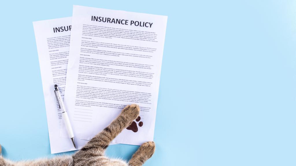 Health and wellness products